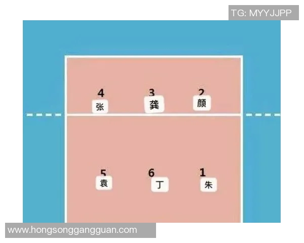 从零起步掌握排球力量技巧全面指南助你成为排球高手