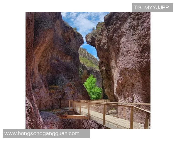 探索阿拉巴的魅力与神秘：文化历史与自然风光的完美交融之旅