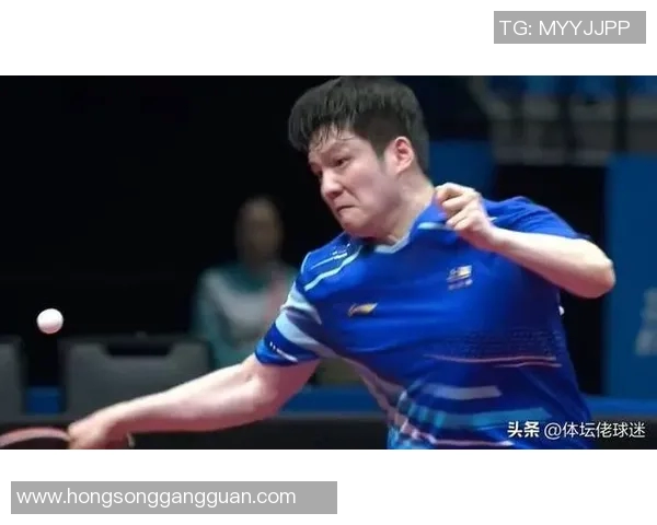 樊振东与波尔精彩对决视频回顾乒乓球巅峰对决不容错过