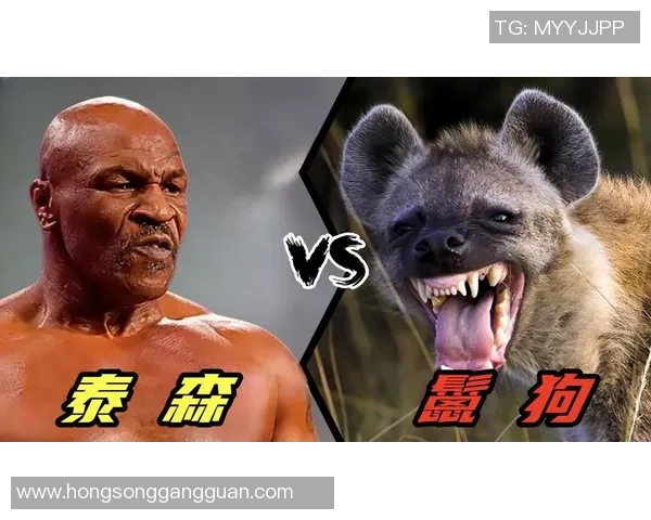泰森与美洲豹的巅峰对决谁能笑到最后的搏击传奇