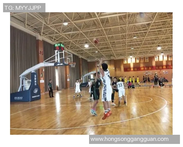 南京篮球队成长之路：从默默无闻到璀璨辉煌的奋斗历程