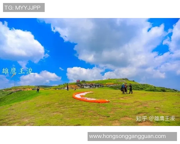 杭州极限运动队的灵活性分析与发展趋势探讨MBA 杭州极限运动队的灵活性分析与发展趋势探讨MBA