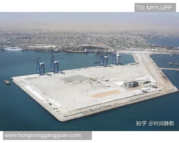 赖斯的外交智慧与全球影响力深度解析与前瞻展望