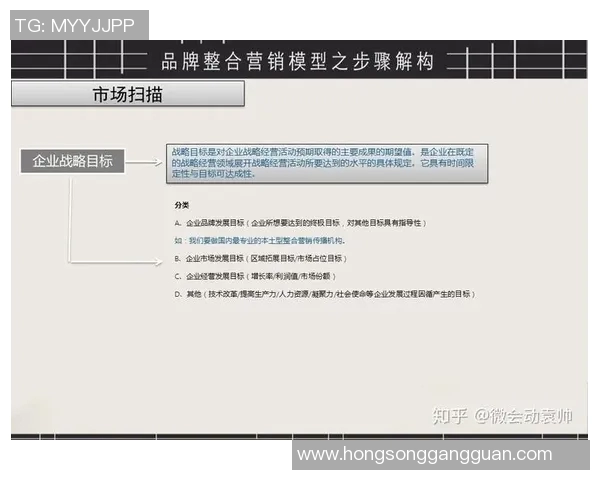 深度分析V5战队的运营策略与战术布局全景解读